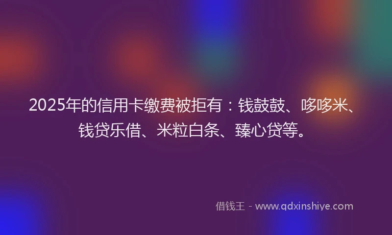 2025年的信用卡缴费被拒有：钱鼓鼓、哆哆米、钱贷乐借、米粒白条、臻心贷等。