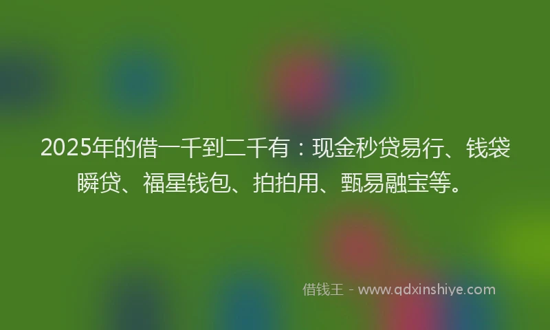 2025年的借一千到二千有：现金秒贷易行、钱袋瞬贷、福星钱包、拍拍用、甄易融宝等。