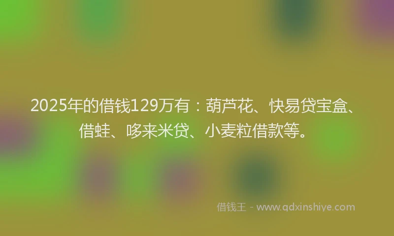 2025年的借钱129万有：葫芦花、快易贷宝盒、借蛙、哆来米贷、小麦粒借款等。