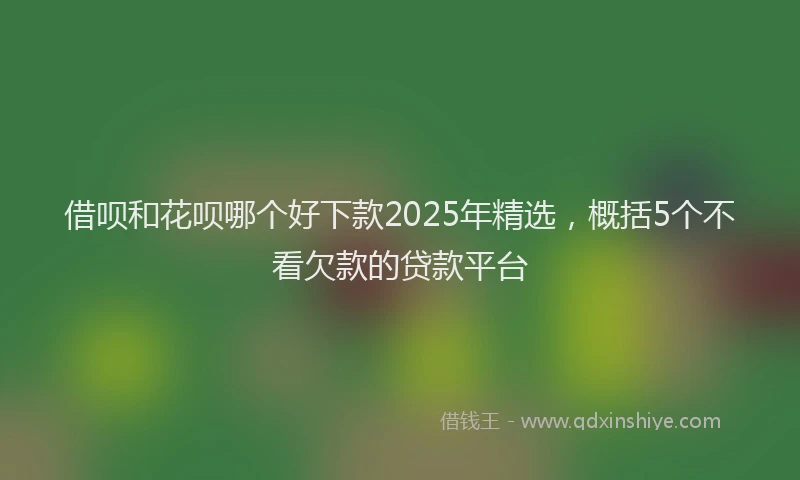 借呗和花呗哪个好下款2025年精选，概括5个不看欠款的贷款平台