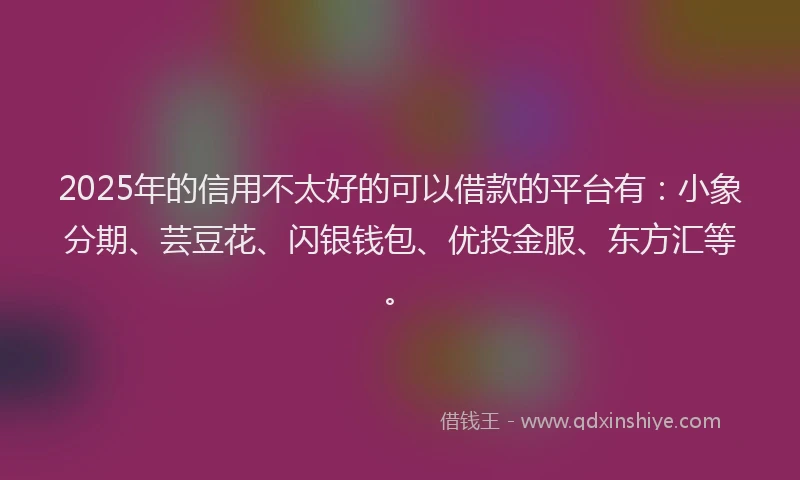 2025年的信用不太好的可以借款的平台有：小象分期、芸豆花、闪银钱包、优投金服、东方汇等。