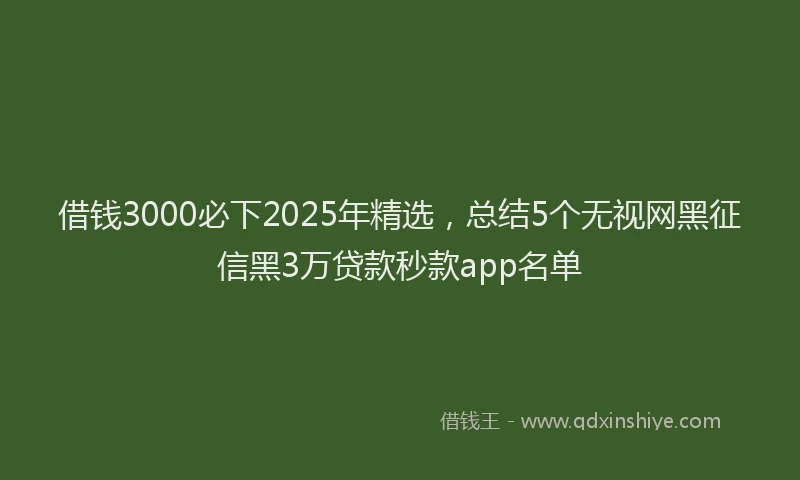 借钱3000必下2025年精选，总结5个无视网黑征信黑3万贷款秒款app名单