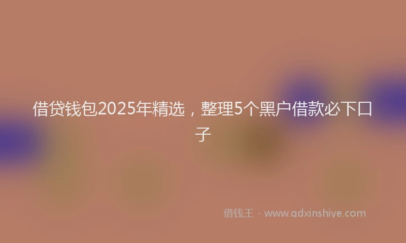 借贷钱包2025年精选，整理5个黑户借款必下口子