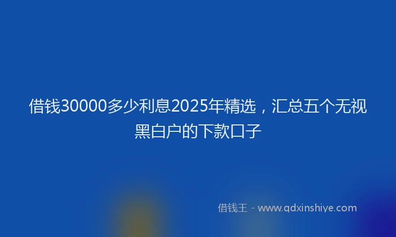 借钱30000多少利息2025年精选，汇总五个无视黑白户的下款口子