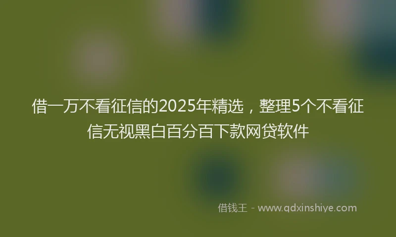借一万不看征信的2025年精选，整理5个不看征信无视黑白百分百下款网贷软件