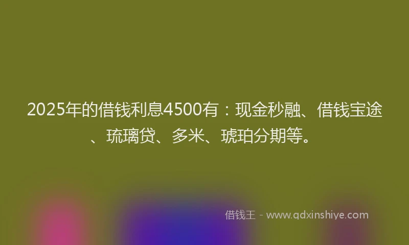 2025年的借钱利息4500有：现金秒融、借钱宝途、琉璃贷、多米、琥珀分期等。