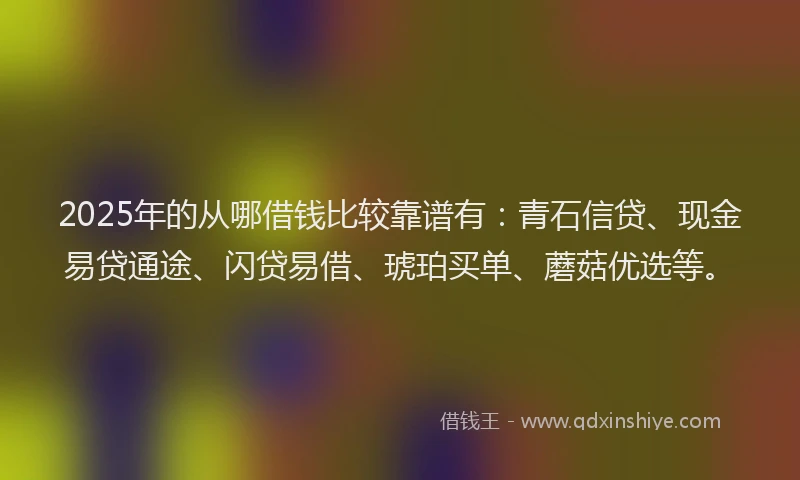 2025年的从哪借钱比较靠谱有：青石信贷、现金易贷通途、闪贷易借、琥珀买单、蘑菇优选等。