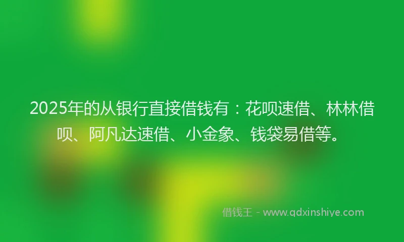 2025年的从银行直接借钱有：花呗速借、林林借呗、阿凡达速借、小金象、钱袋易借等。