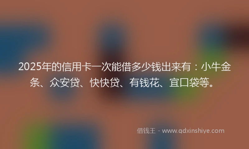 2025年的信用卡一次能借多少钱出来有：小牛金条、众安贷、快快贷、有钱花、宜口袋等。