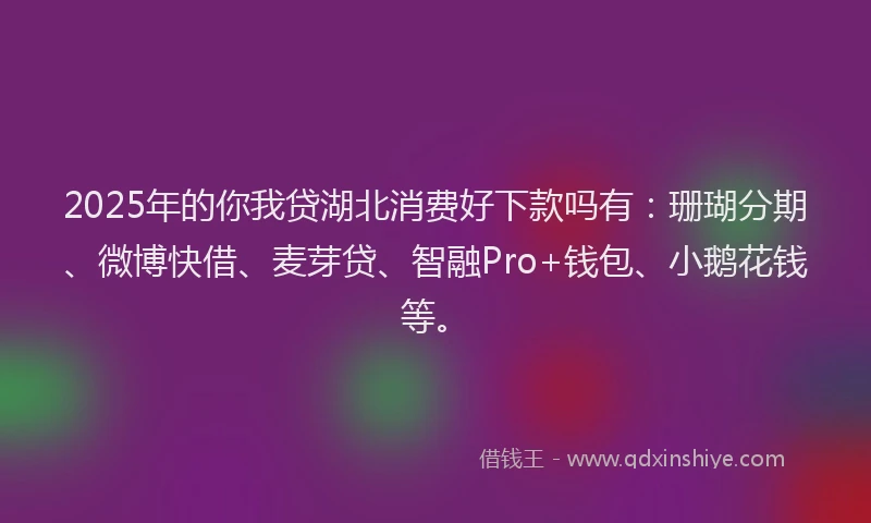 2025年的你我贷湖北消费好下款吗有：珊瑚分期、微博快借、麦芽贷、智融Pro+钱包、小鹅花钱等。