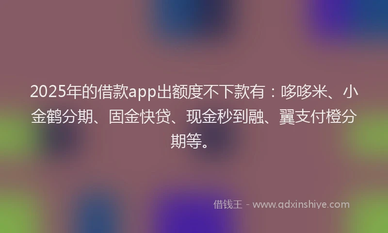 2025年的借款app出额度不下款有：哆哆米、小金鹤分期、固金快贷、现金秒到融、翼支付橙分期等。