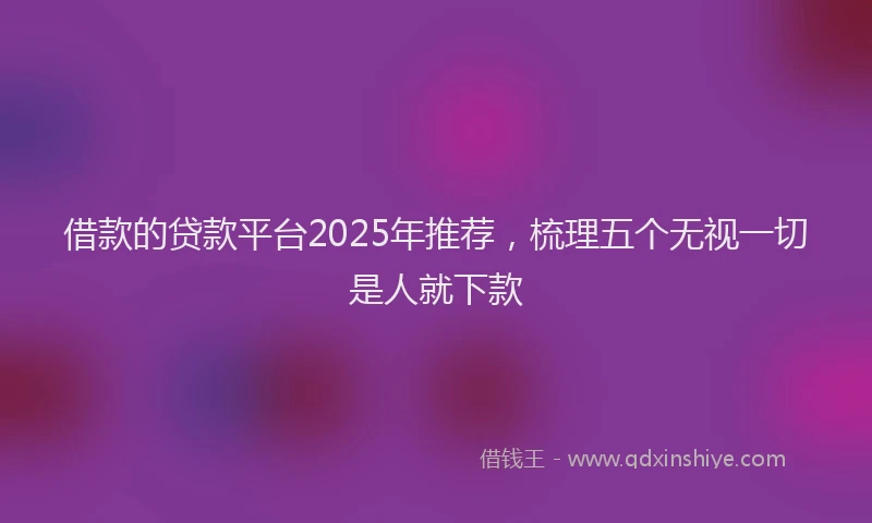 借款的贷款平台2025年推荐，梳理五个无视一切是人就下款