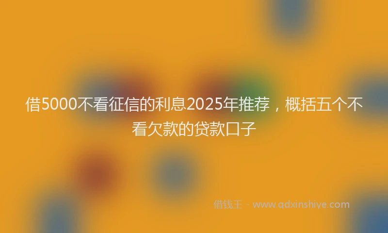 借5000不看征信的利息2025年推荐，概括五个不看欠款的贷款口子