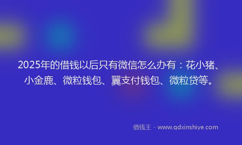 2025年的借钱以后只有微信怎么办有：花小猪、小金鹿、微粒钱包、翼支付钱包、微粒贷等。