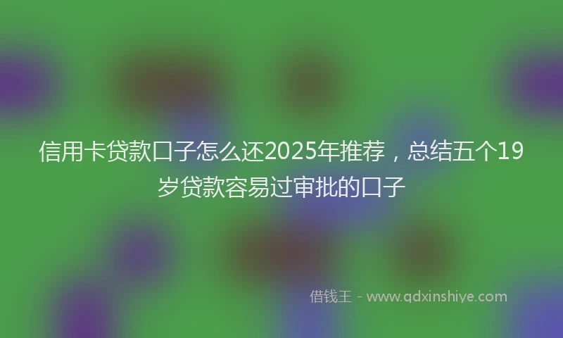信用卡贷款口子怎么还2025年推荐，总结五个19岁贷款容易过审批的口子