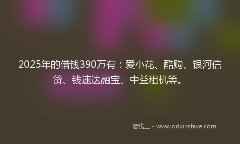 2025年的借钱390万有：爱小花、酷购、银河信贷、钱速达融宝、中益租机等。