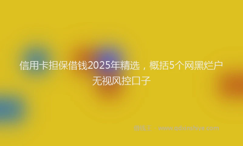 信用卡担保借钱2025年精选，概括5个网黑烂户无视风控口子
