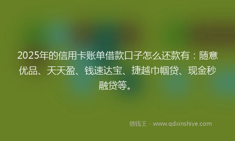 2025年的信用卡账单借款口子怎么还款有：随意优品、天天盈、钱速达宝、捷越巾帼贷、现金秒融贷等。