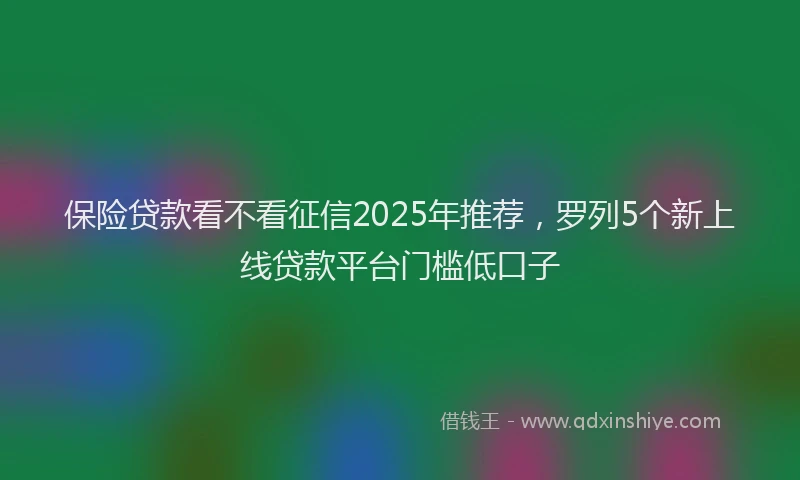 保险贷款看不看征信2025年推荐，罗列5个新上线贷款平台门槛低口子