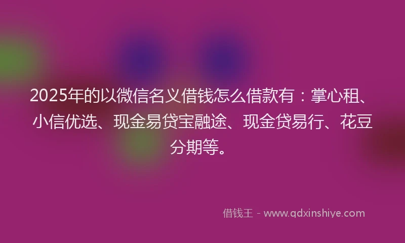 2025年的以微信名义借钱怎么借款有：掌心租、小信优选、现金易贷宝融途、现金贷易行、花豆分期等。