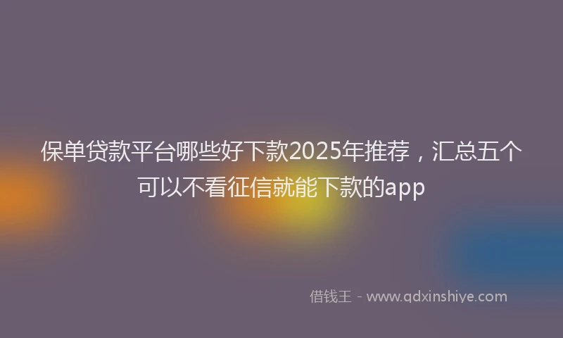 保单贷款平台哪些好下款2025年推荐，汇总五个可以不看征信就能下款的app