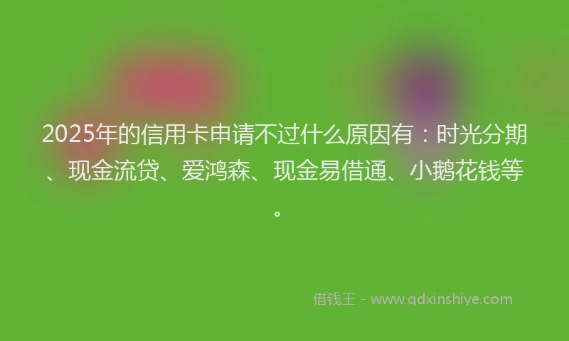 2025年的信用卡申请不过什么原因有：时光分期、现金流贷、爱鸿森、现金易借通、小鹅花钱等。