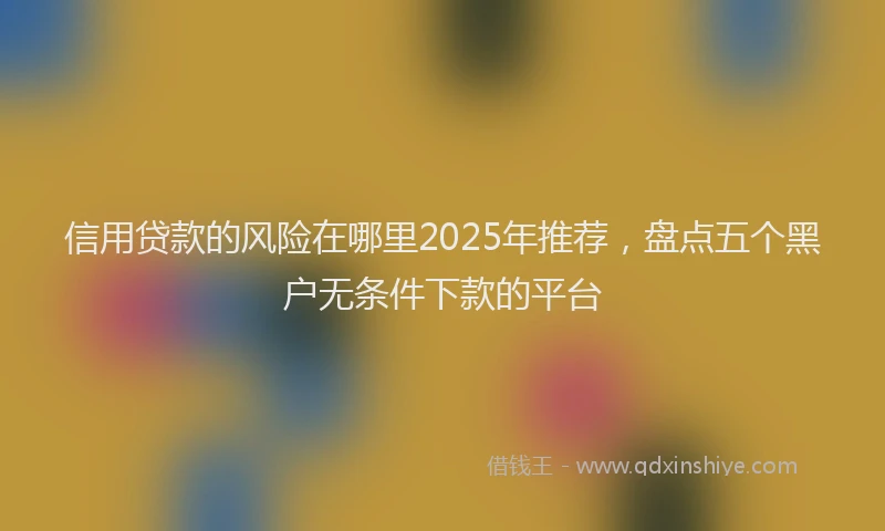 信用贷款的风险在哪里2025年推荐，盘点五个黑户无条件下款的平台