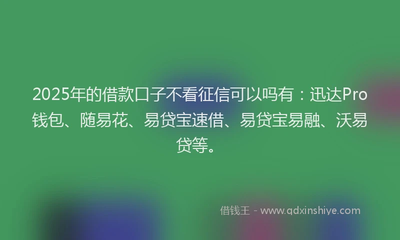 2025年的借款口子不看征信可以吗有：迅达Pro钱包、随易花、易贷宝速借、易贷宝易融、沃易贷等。