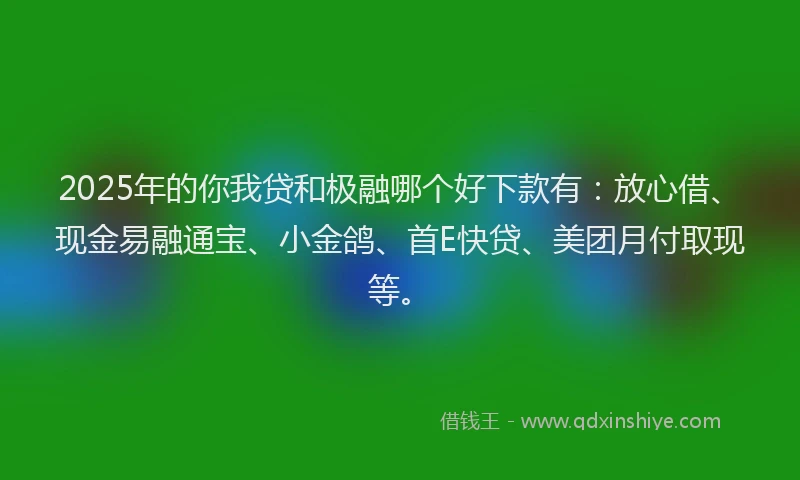 2025年的你我贷和极融哪个好下款有：放心借、现金易融通宝、小金鸽、首E快贷、美团月付取现等。