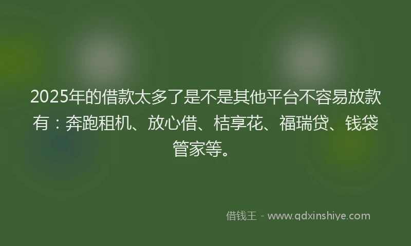 2025年的借款太多了是不是其他平台不容易放款有：奔跑租机、放心借、桔享花、福瑞贷、钱袋管家等。