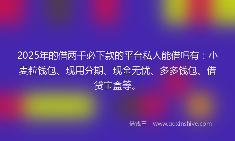 2025年的借两千必下款的平台私人能借吗有：小麦粒钱包、现用分期、现金无忧、多多钱包、借贷宝盒等。