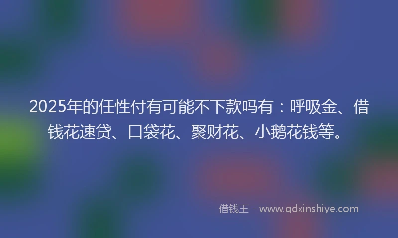 2025年的任性付有可能不下款吗有：呼吸金、借钱花速贷、口袋花、聚财花、小鹅花钱等。
