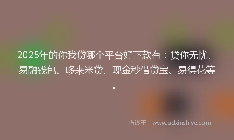 2025年的你我贷哪个平台好下款有：贷你无忧、易融钱包、哆来米贷、现金秒借贷宝、易得花等。