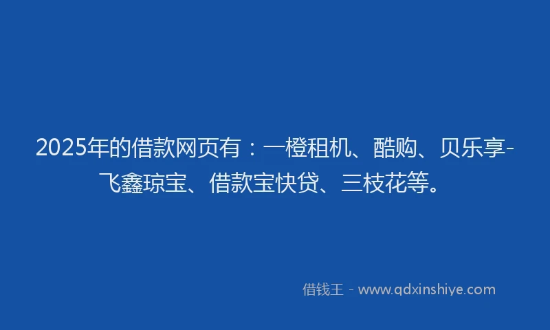 2025年的借款网页有：一橙租机、酷购、贝乐享-飞鑫琼宝、借款宝快贷、三枝花等。
