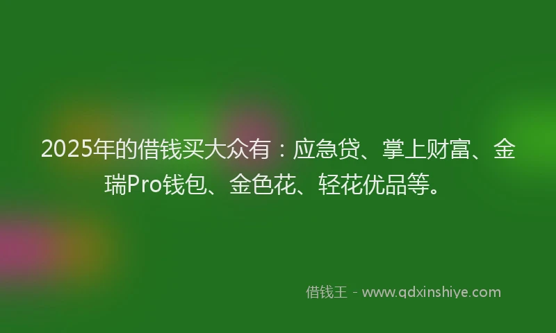 2025年的借钱买大众有：应急贷、掌上财富、金瑞Pro钱包、金色花、轻花优品等。