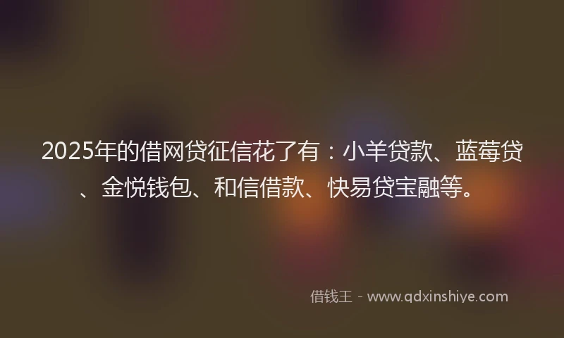 2025年的借网贷征信花了有：小羊贷款、蓝莓贷、金悦钱包、和信借款、快易贷宝融等。
