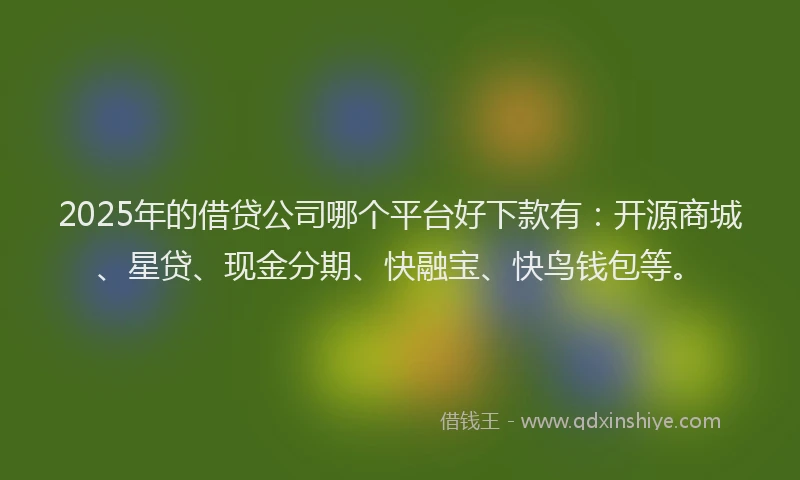 2025年的借贷公司哪个平台好下款有：开源商城、星贷、现金分期、快融宝、快鸟钱包等。