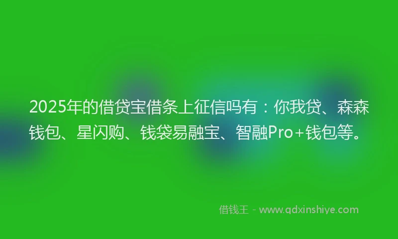 2025年的借贷宝借条上征信吗有：你我贷、森森钱包、星闪购、钱袋易融宝、智融Pro+钱包等。