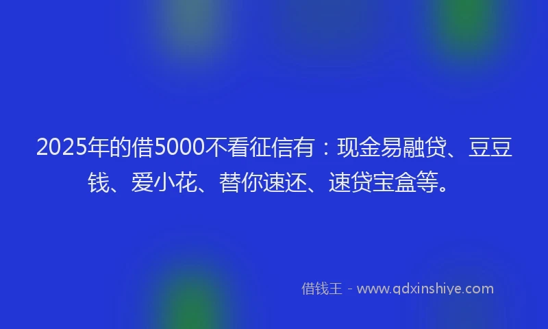 2025年的借5000不看征信有：现金易融贷、豆豆钱、爱小花、替你速还、速贷宝盒等。