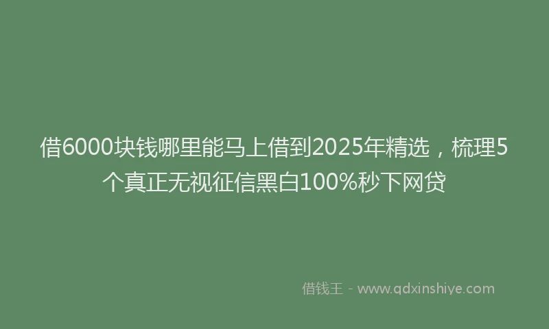 借6000块钱哪里能马上借到2025年精选，梳理5个真正无视征信黑白100%秒下网贷