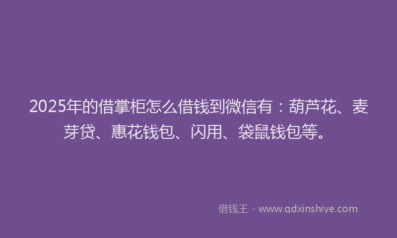 2025年的借掌柜怎么借钱到微信有：葫芦花、麦芽贷、惠花钱包、闪用、袋鼠钱包等。