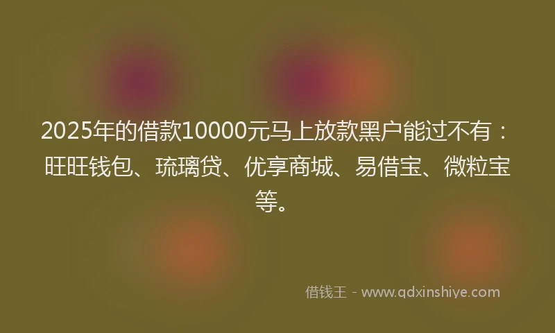 2025年的借款10000元马上放款黑户能过不有：旺旺钱包、琉璃贷、优享商城、易借宝、微粒宝等。