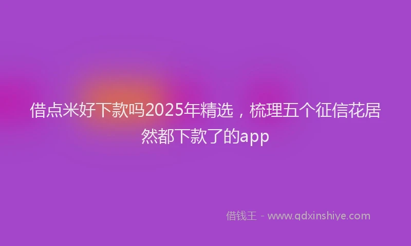 借点米好下款吗2025年精选，梳理五个征信花居然都下款了的app