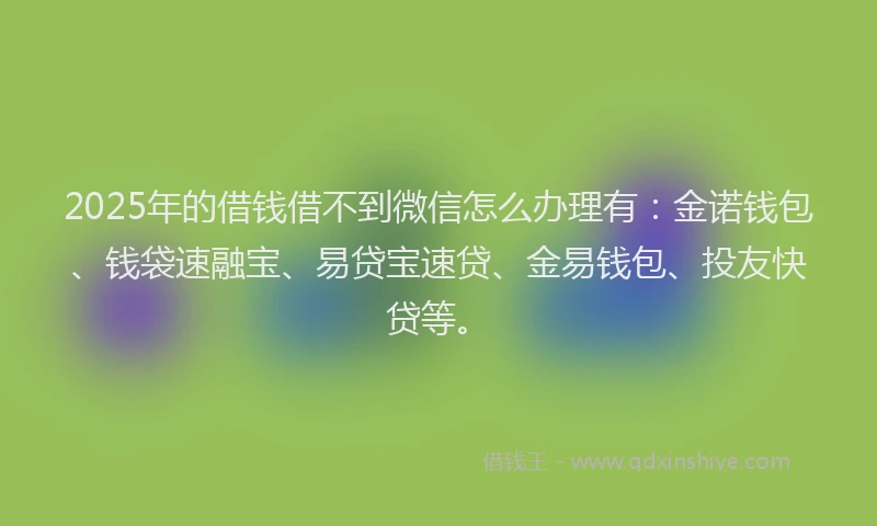 2025年的借钱借不到微信怎么办理有：金诺钱包、钱袋速融宝、易贷宝速贷、金易钱包、投友快贷等。