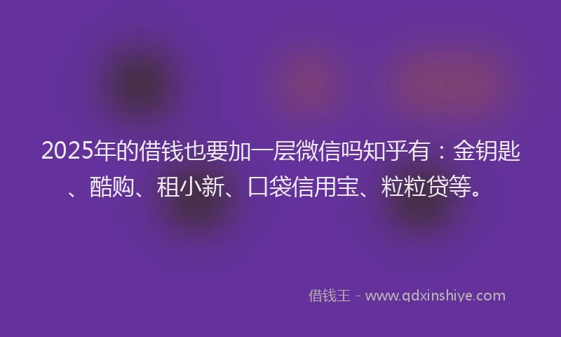 2025年的借钱也要加一层微信吗知乎有：金钥匙、酷购、租小新、口袋信用宝、粒粒贷等。