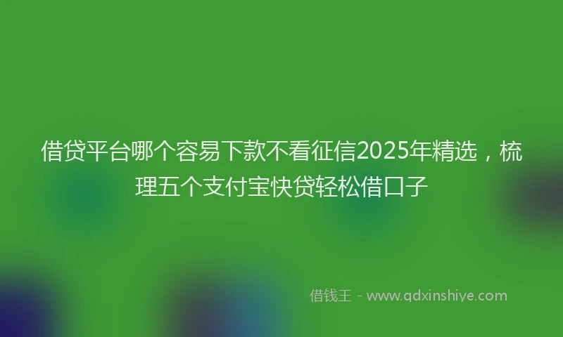 借贷平台哪个容易下款不看征信2025年精选，梳理五个支付宝快贷轻松借口子