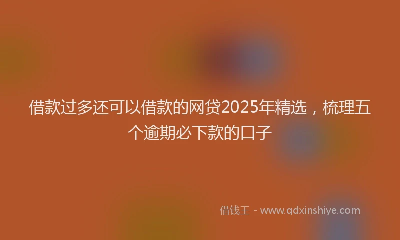 借款过多还可以借款的网贷2025年精选，梳理五个逾期必下款的口子
