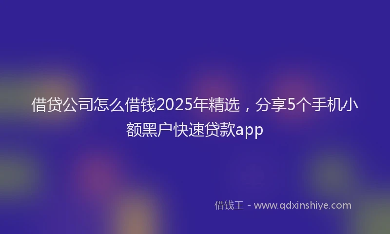 借贷公司怎么借钱2025年精选，分享5个手机小额黑户快速贷款app