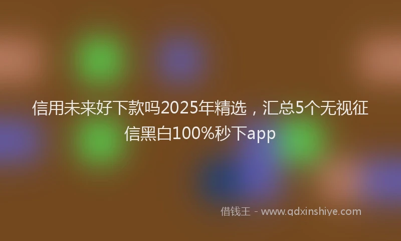 信用未来好下款吗2025年精选，汇总5个无视征信黑白100%秒下app