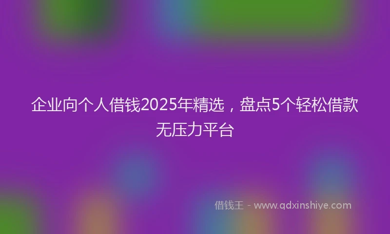 企业向个人借钱2025年精选，盘点5个轻松借款无压力平台